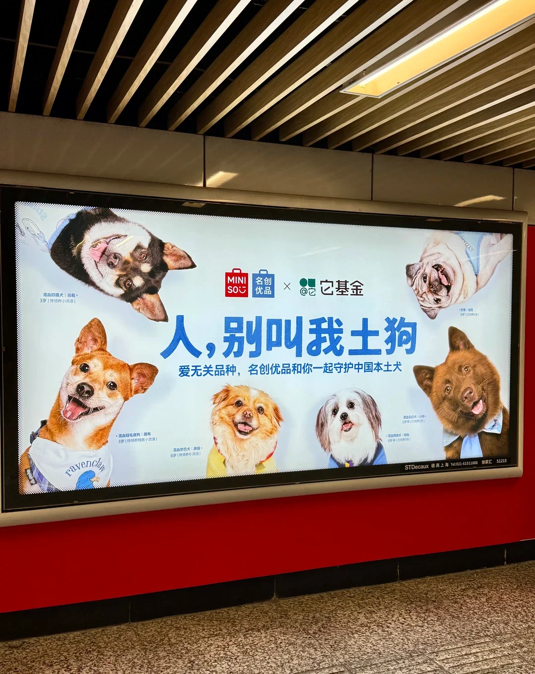 广告车贴
